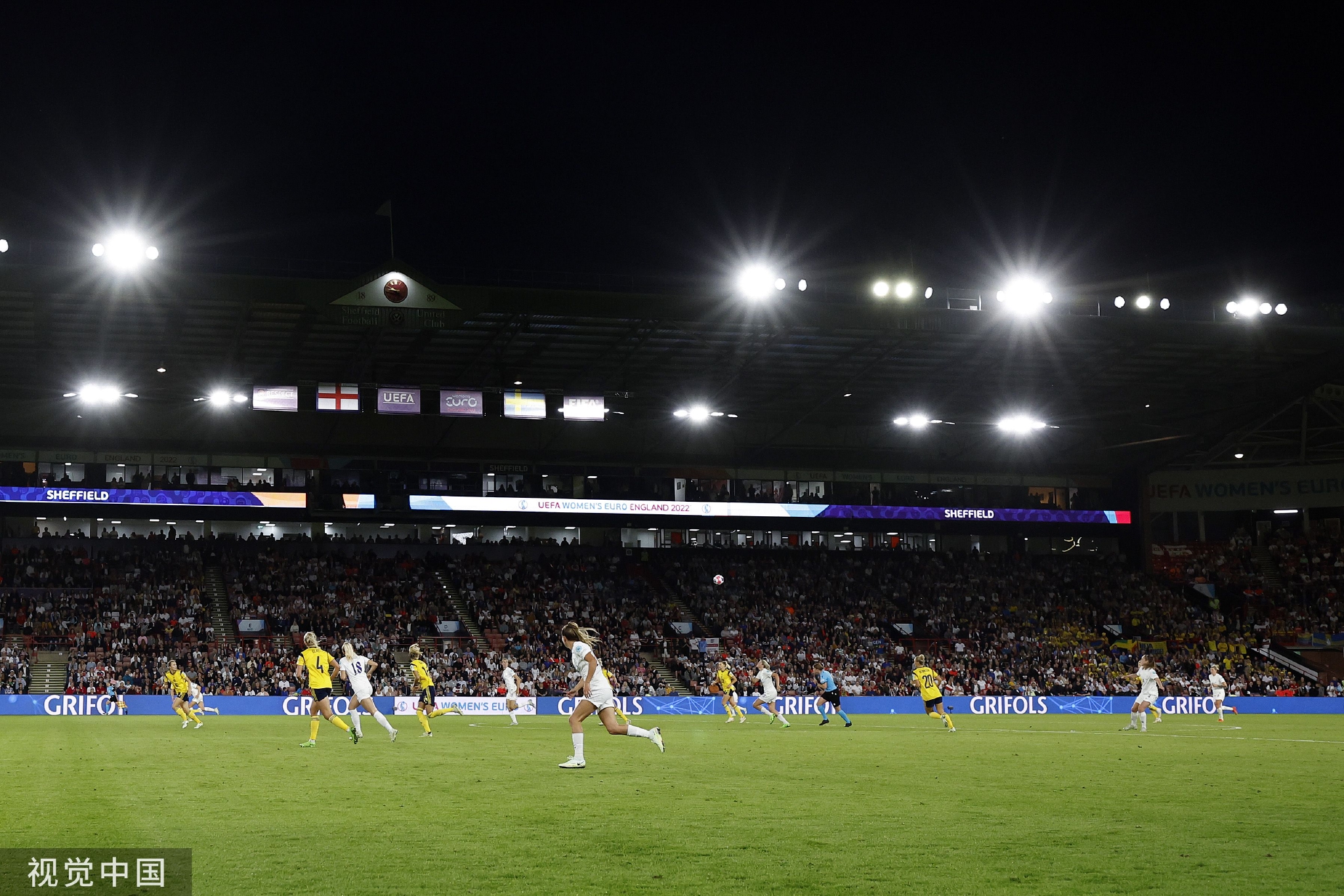 熊的启示 熊的启示